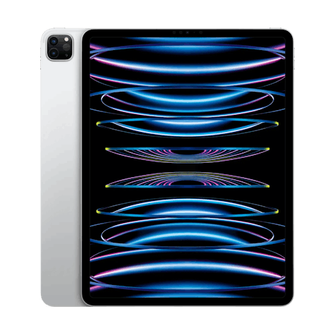  APPLE iPad Pro 12-inch 256GB