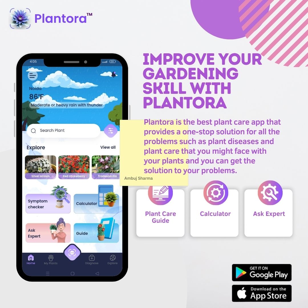  Best App for Plant Care & Identification – Plantora