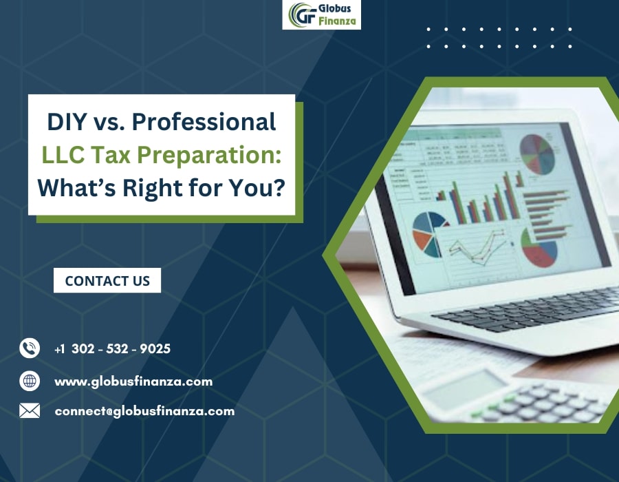  DIY vs. Professional LLC Tax Preparation: What’s Right for You?