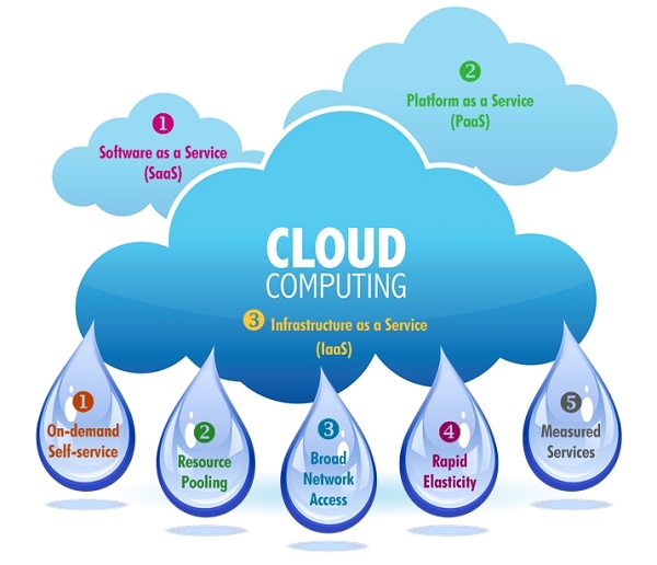  Explore BCA Cloud Computing Courses for 2024