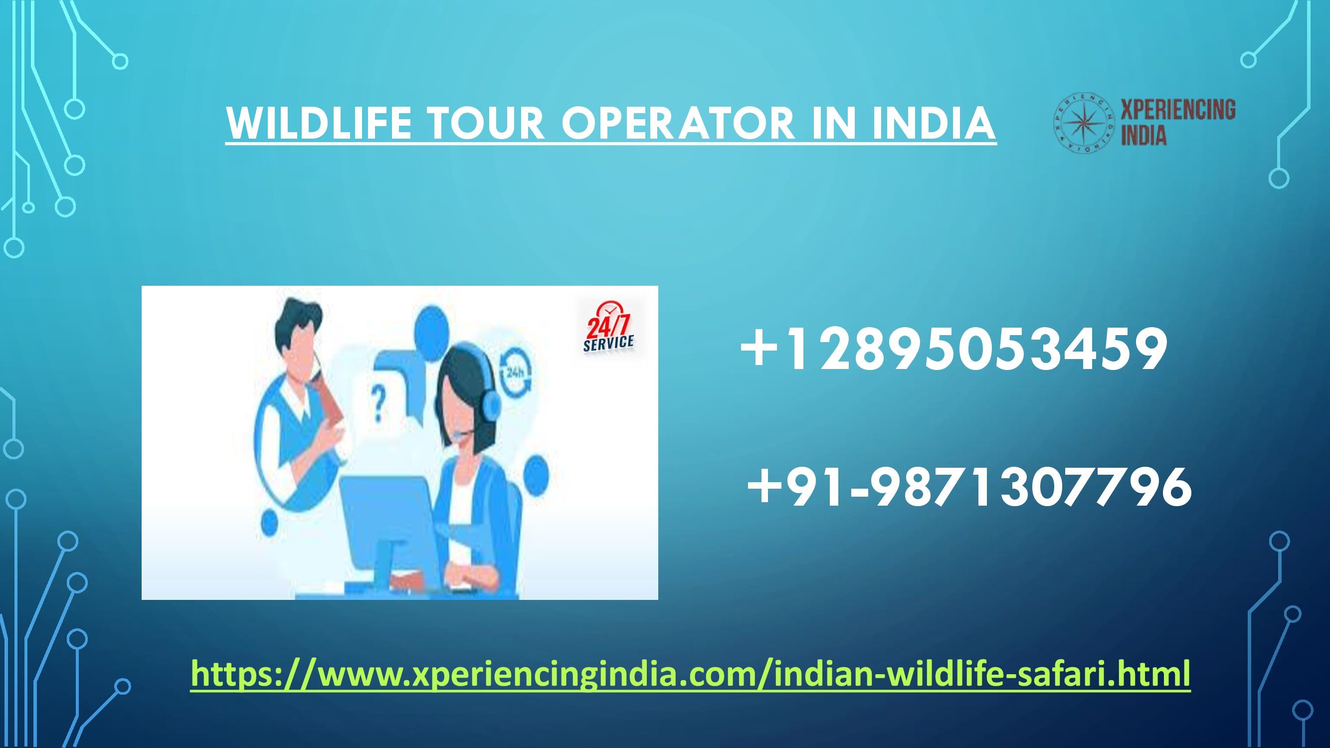  Wildlife tour operator in India +12895053459