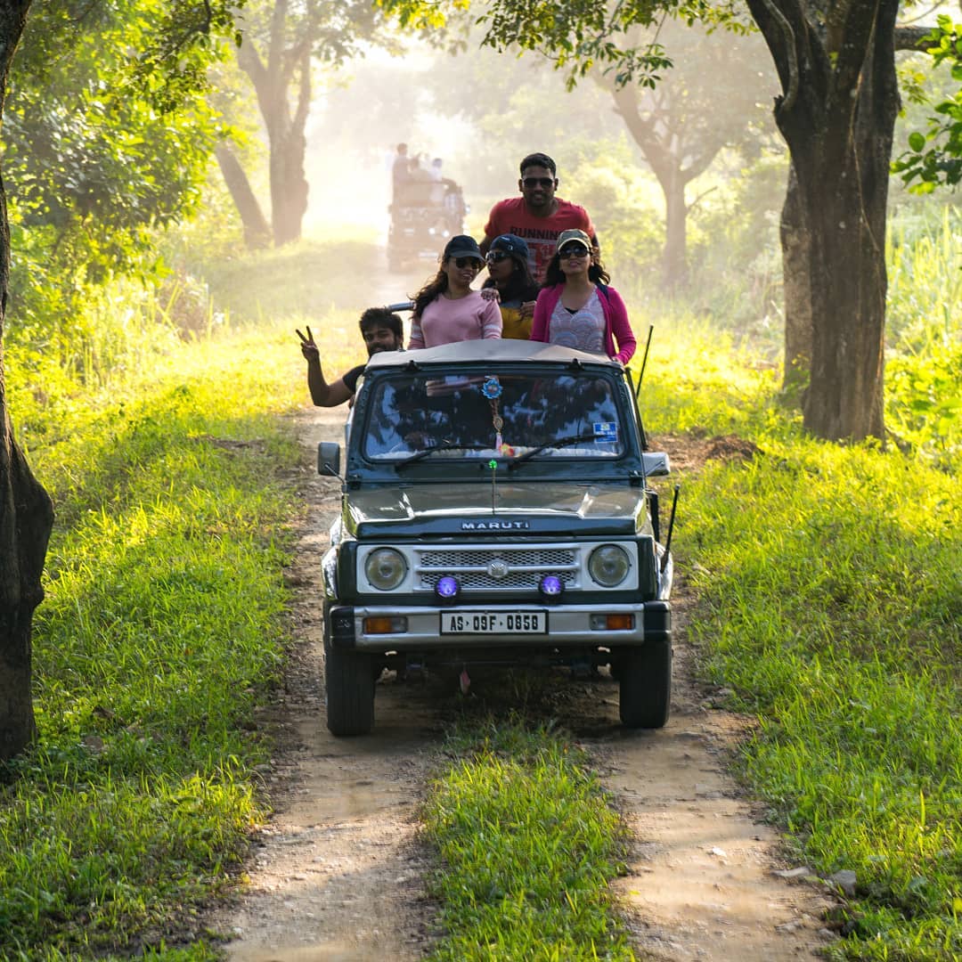  Plan Sasan Gir Jeep Safari Booking for a Unique Wildlife Exploration