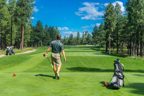  Convenient Rental Golf Clubs in Las Vegas T10 Golf Rentals