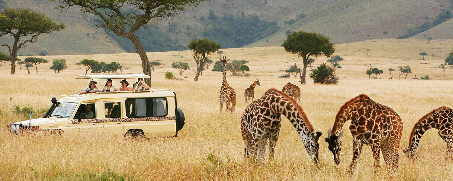  Luxury africa safari tours