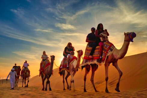  Morning Desert Safari: A Must-Experience Adventure