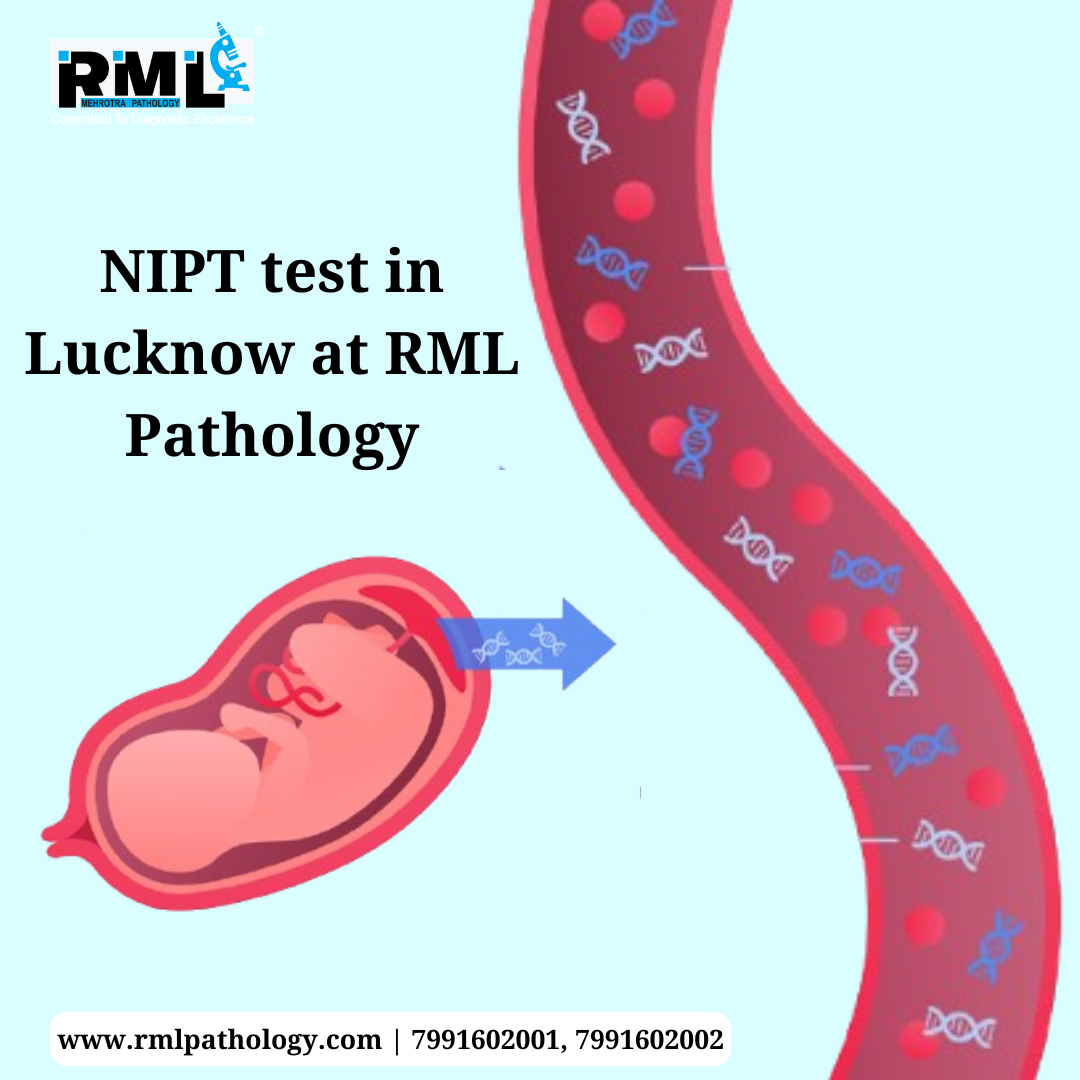  NIPT test in Lucknow at RML Pathology near me