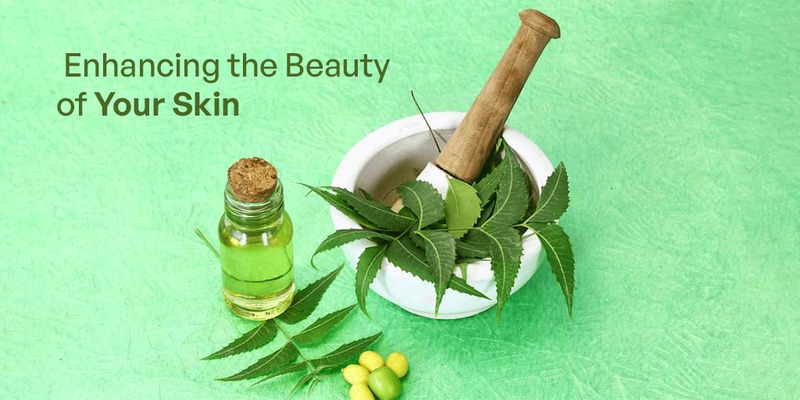  Neem Benefits for Skin: Enhancing the Beauty of Your Skin.