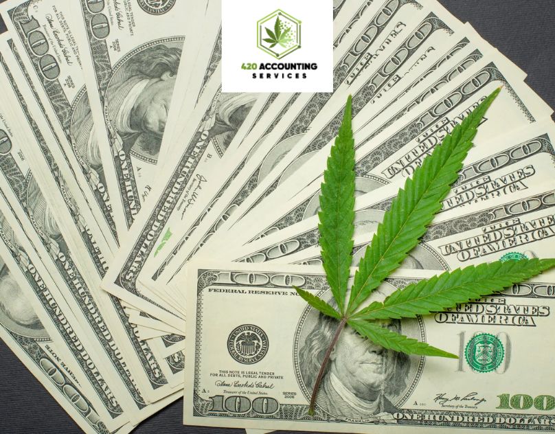  Professional Cannabis Bookkeeper to Manage Your Finances